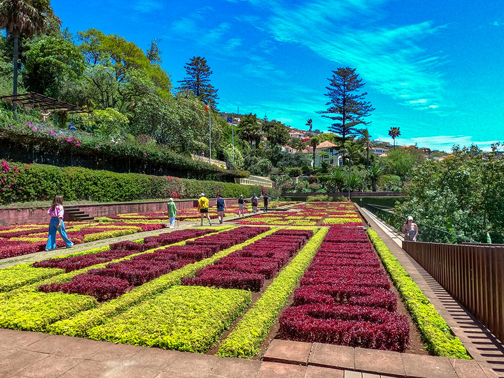 madeira-island-22